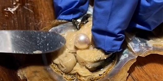 Pick your own pearl at this factory