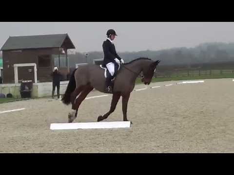 British Dressage Elementary 40 (2010)