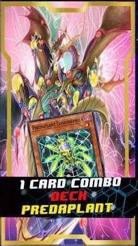 1 Card Combo Deck Predaplant Post Blazing Dominion |EdoPro| (Mayo 2026) #yugioh #edopro