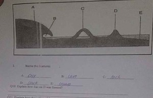 Name the features:A:B:C:D:E:Q10. Explain how featur... | Filo