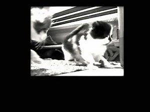 STOPCRUSH.ORG Global Unity Against Animal Crush Video