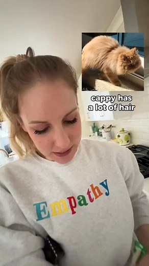 2.5K views · 220 reactions | My tips on trimming Cappy's fur. Like all of Cappy's care routine, it's an evolving process. I never knew how food motivated Cappy was until just a few years ago! Associating things Cappy~ | Katie Beth Miedaner | Facebook