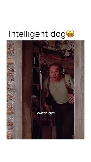 Alone Forever on Instagram: "A wild soul, a young prospector, and a frontier that demands respect. 🎬 About: White Fang (1991) In the Klondike gold rush, Jack Conroy arrives in Alaska carrying his father’s dream — and meets a fierce wolf-dog whose journey from survival to loyalty mirrors his own. Together they face nature, cruelty, and the challenge of trust in a rugged land. Written by Jack London, this adaptation shows that the wildest hearts can find a home. ([Vikipedi][1]) 🎭 Genre: Adventur