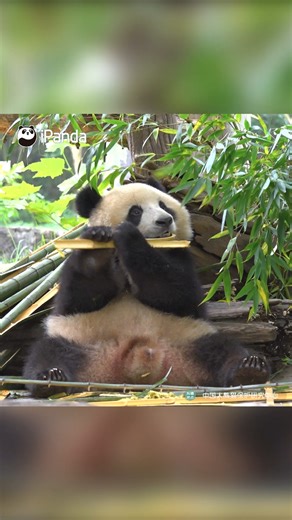 7.6K views · 1K reactions | As a professional model, I have the...