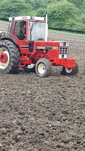 1982 International 955XL 5.9 Litre 6-Cyl Diesel Tractor (90 HP) Rainscombe Country Show 2026
