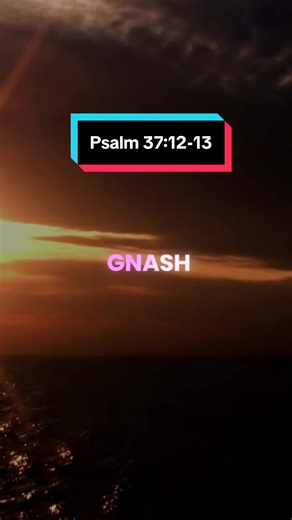 Psalm 37:12-13 the Lord laughs at the wicked when they plot against you. #ChristianTikTok #BibleTok #bibleverse ##verseoftheday #lordisgood