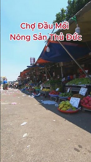 Giá xoài cát Hòa Lộc, xoài Thái, thanh long, nhãn Thái, mận An Phước, bơ chín, xoài kheo #dicho