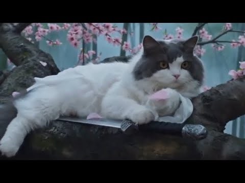 This Cat Took Down 10 Ninjas 😱🐱 | Insane Ninja Fight Scene
