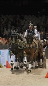 73K views · 2.9K reactions | Cheer for our champions!  Boyd Exell has done it again and has been crowned FEI Driving World Cup™ Champion. He and his team left the competition behind at the Bordeaux Jumping. ⚡️ Boyd reigns supreme once again.  #FEIDrivingWorldCup #FEIDriving #HarnessThePower #ReadySetDrive #FourInHand | FEI Driving | Facebook