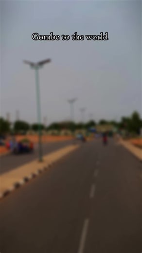 Gombe's Global Reach