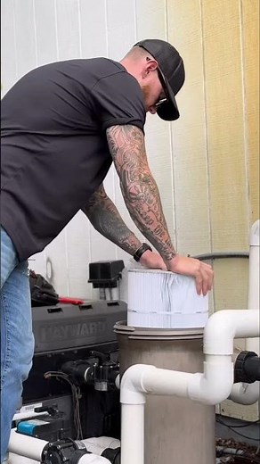 Hayward Filter Cartridge Replacement: Easy Install Guide #poolfilter #swimmingpool #pool #pooltips