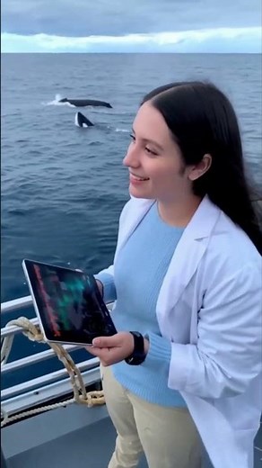 Whale Language: AI Is Decoding Sperm Whale Clicks (Project CETI). #animals #OceanMysteries #whale