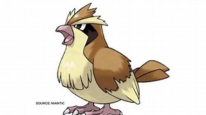Pokemon Go: How to catch Pidgey? A detailed, step-by-step guide