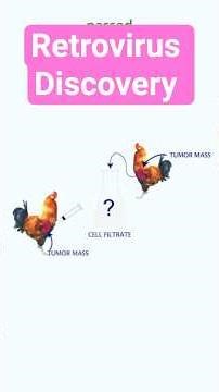 Retrovirus Discovery Reverse transcriptase RSV #retrovirus #virus #chicken #cancer #biotechreview