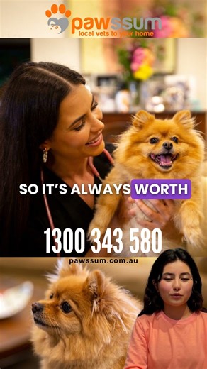 Ever wondered if pet insurance covers a vet visit at home? #mobilevet #pets #petcareprovider