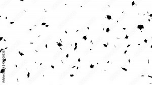 Autumn Leaves. Autumn Leaf Particles. Loop Animation With Alpha Matte Channel. Stock Video