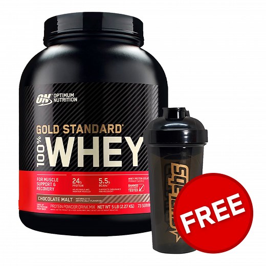 Optimum Nutrition Gold Standard 100% Whey Protein  - Delicious Strawberry & Double Rich Chocolate  Whey Protein Blends : Sporter United Arab Emirates