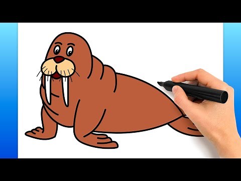 How To Draw A Walrus (Easy Drawing Tutorial)