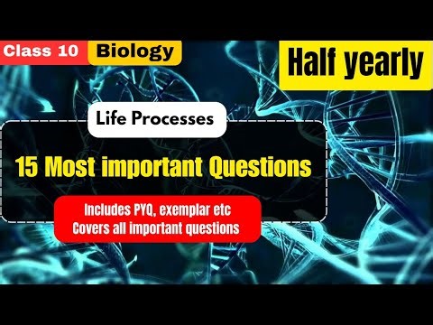 🔬 Class 10 Science | Life Processes question practice | NCERT Based |