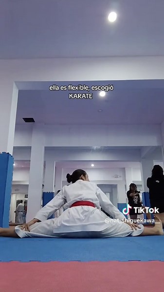 Karate: Flexibility and Strength in Action