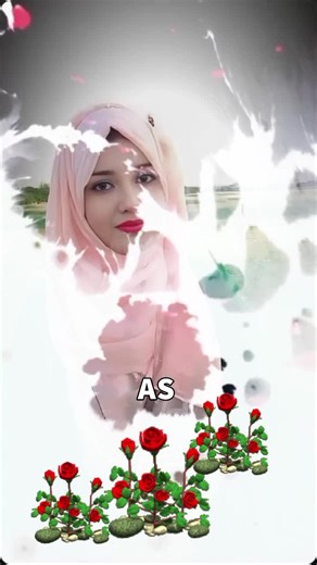 #🌹🌹🌹🌹🌹🌹🌹🌹🌹🌹🌹🌹🌹🌹🌹🌹🌹🌹🌹🌹🌹🌹🌹🌹🌹🌹🌹🌹🌹🌹🌹🌹🌹 #💜💜💜💜💜💜💜 #💜💜💜💜💜💜💜