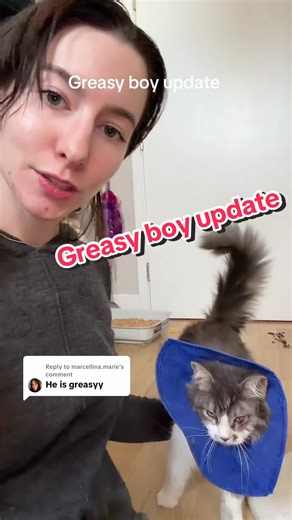 Tips for Cleaning Your Pet Without a Bath