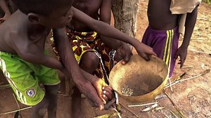 Pearl millet - Making a great grain even better