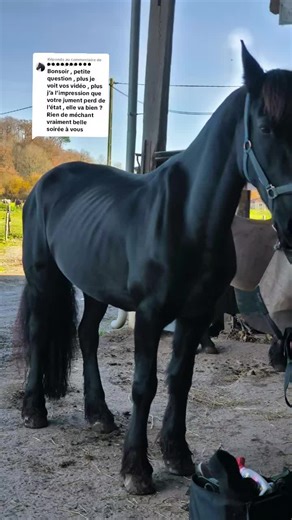 Réponse à @prin_cess_nyny Vous n'êtes pas la seule à avoir demandé... Inaïa a été malade au mois de novembre. De très forte pluie, une couverture qui n'a pas résisté et hop, un coup de froid ayant déclenché une diarrhée chronique. On soigne mais ça ne passe pas. Plusieurs examens, prises de sang et on fini par trouver. Inaïa est porteuse de la Pyro chronique. On traite et gentiment on reprend de l'état. C'est long mais on y arrive. Maintenant, faut refaire le muscle. Mais heureusement, Inaïa n'a