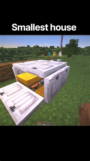 minecraft smallest house #shorts #minecraft