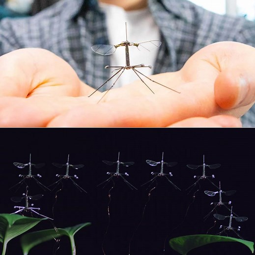 Harvard's RoboBee Micro Robot Gets Upgraded with Crane Fly-Inspired Legs, Could Be Used for Disaster Surveillance
