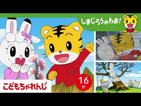 【16分アニメ】よみがえれ！ 思い出のさくらの木🌸 | 植物の命・自然の生命力 | しまじろうのわお！アニメ | しまじろうチャンネル公式