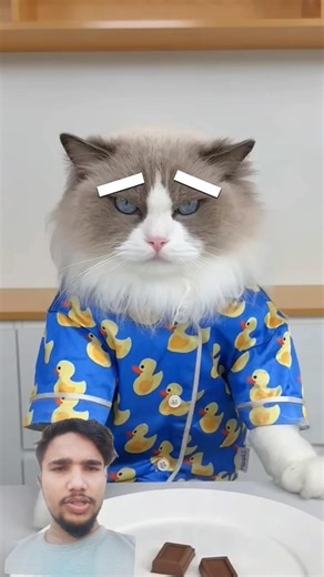 billi ka gajab karname #funny #cat #cooking #cartoon #cute #cat #shorts #cartooncat #kitty #catworl