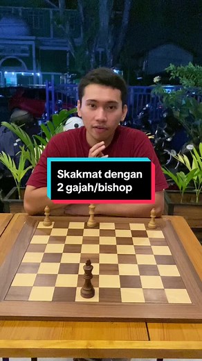 Tips Skakmat dengan 2 Gajah/Bishop - Cara Bermain Catur