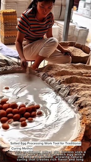 Salted Egg Processing Work Tool for Traditional Curing Method #worktool