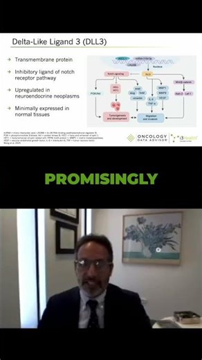 DLL III: A NEW TARGET FOR CANCER THERAPY REVEALED!