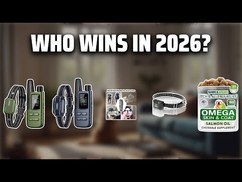 The Top 5 Best Bark Stopper in 2026 - Must Watch Before Buying!