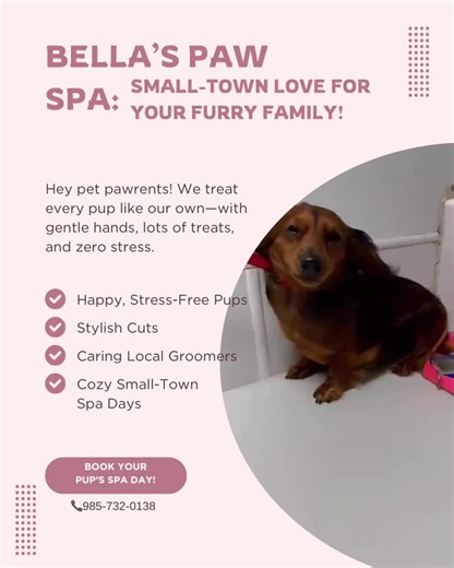 Topper the dachshund says it all: happy, relaxed, and freshly pampered! At Bella’s Paw Spa we focus on what matters most — your pet’s comfort and happiness. No rushing, no stress, just caring local groomers who treat every pup like family. Stylish cuts, cozy spa days, and lots of love included. Spots fill up fast — call 985-732-0138 or go to the link in bio to book your pet’s next visit! 🐾✂️ #BellasPawSpa #PetPampering #StressFreeGrooming #PuppyLove