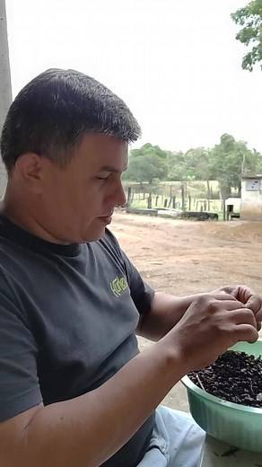Comida tradicional da roça: bitu, sauva frita e farofa de tanajura