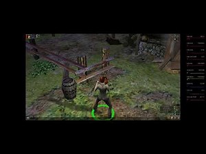 Dungeon Siege 1: Flickering and High Resolution Crash Fixes (Win10)