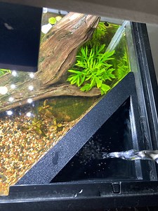 Triangle Water Change Diffuser: Low Turbulence Aquarium Top Off - Etsy