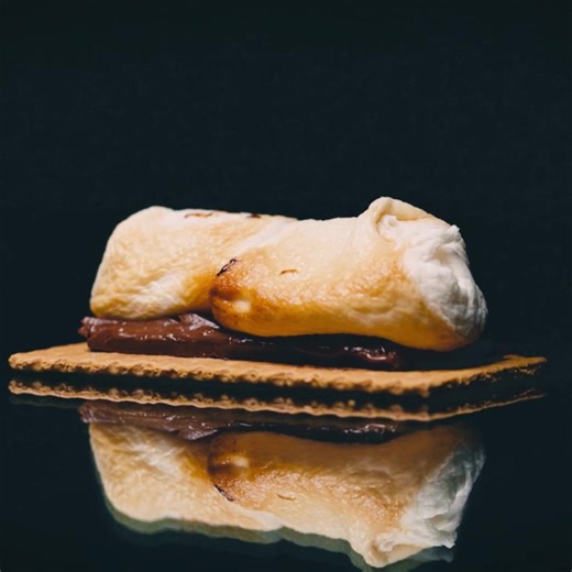 The most epic S'more! #smores #smore #vegan #vegeterian #marshmallow #chocolate #veganfood #vegantiktok #vegeterianfood #foodie #epic