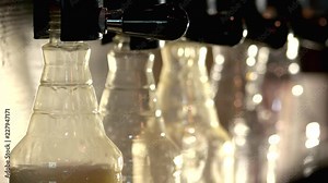 Beer taps filling plastic bottles. Close up beer pouring bottles.