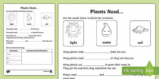 Plants Need Worksheet