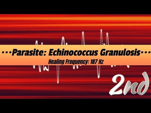Echinococcus Granulosus, 2nd Healing Frequency: 187 Hz