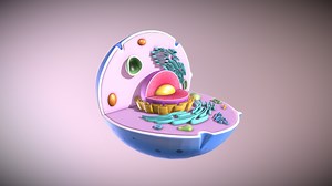 Animal Cell - 3D model by wendell
