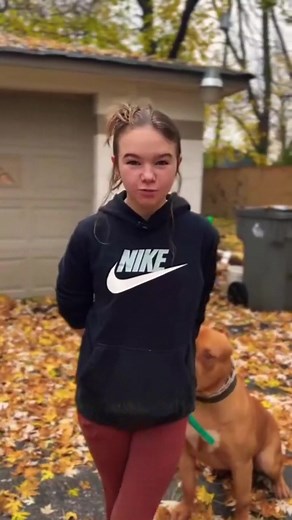 Misunderstood XXL American Bully pit breed #xlbully #xlpitbull #shorts | Fan XL Bully