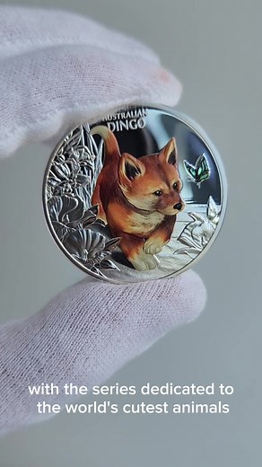 Baby Dingo Coin - Adorable Australian Coin for Your Collection