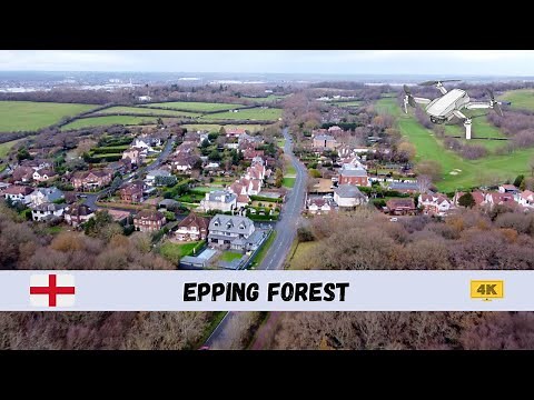 [4K] 🇬🇧 Epping Forest - by drone 🇬🇧