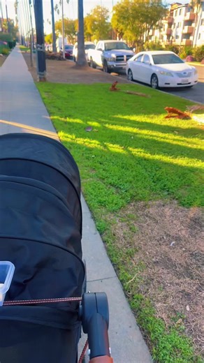 Jana (@watchcontrol4)’s videos with original sound - C R U S H