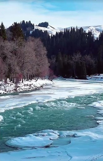 ✨Exclusive Snowy Moments: Custom Wellness Journey in Tangbula’s Winter Paradise❄️#chinatravel #新疆旅行